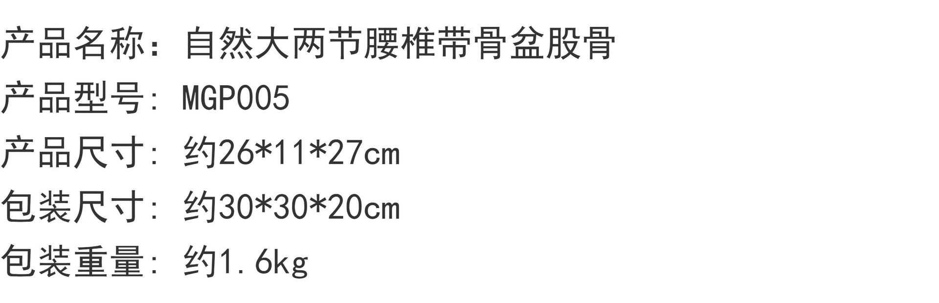 Medical model, pelvic and reproductive anatomy teaching model, tuning fork, traditional Chinese medicine physiotherapy auxiliary tool, suitable for teaching and training pic 17