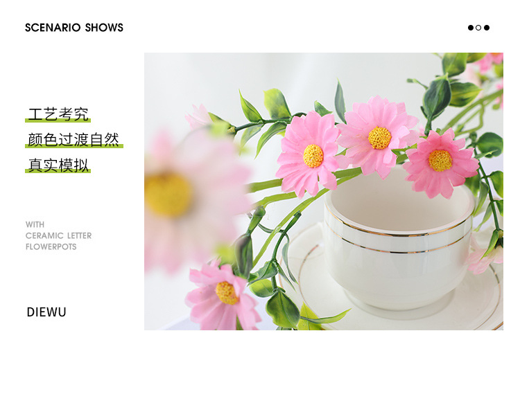 小雏菊---副本_17.jpg