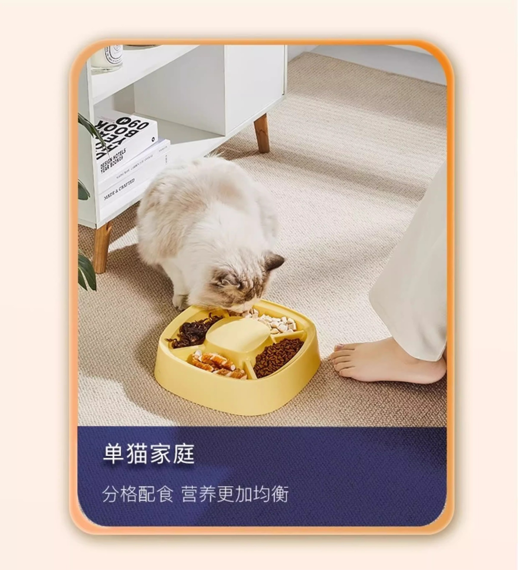 猫碗食盆猫盘猫盆猫咪饭碗粮碗猫粮盆猫饭盆幼猫分格狗碗宠物用品详情4