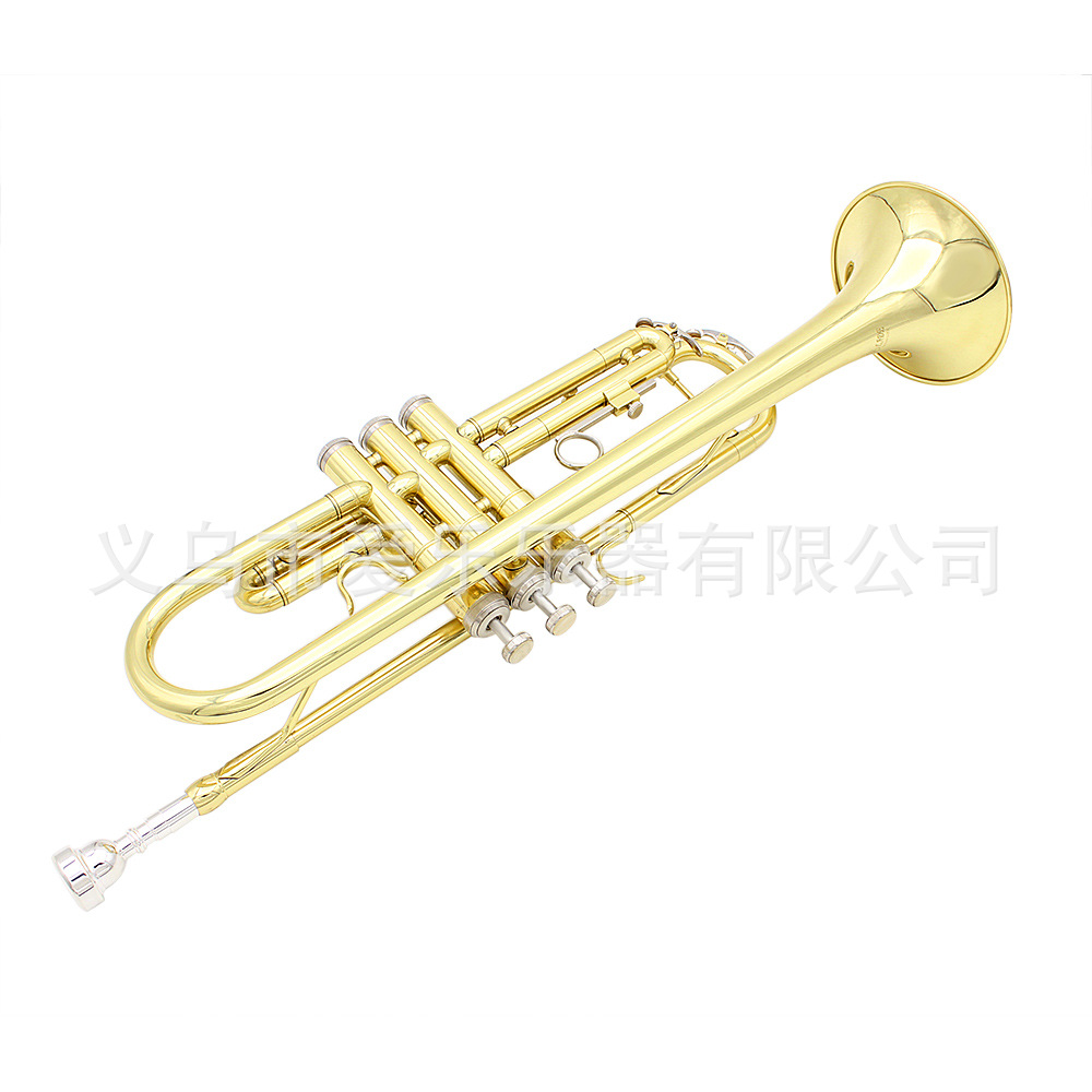 Student and adult performance of Trumpet, a brass trumpet in B-flat pic 14