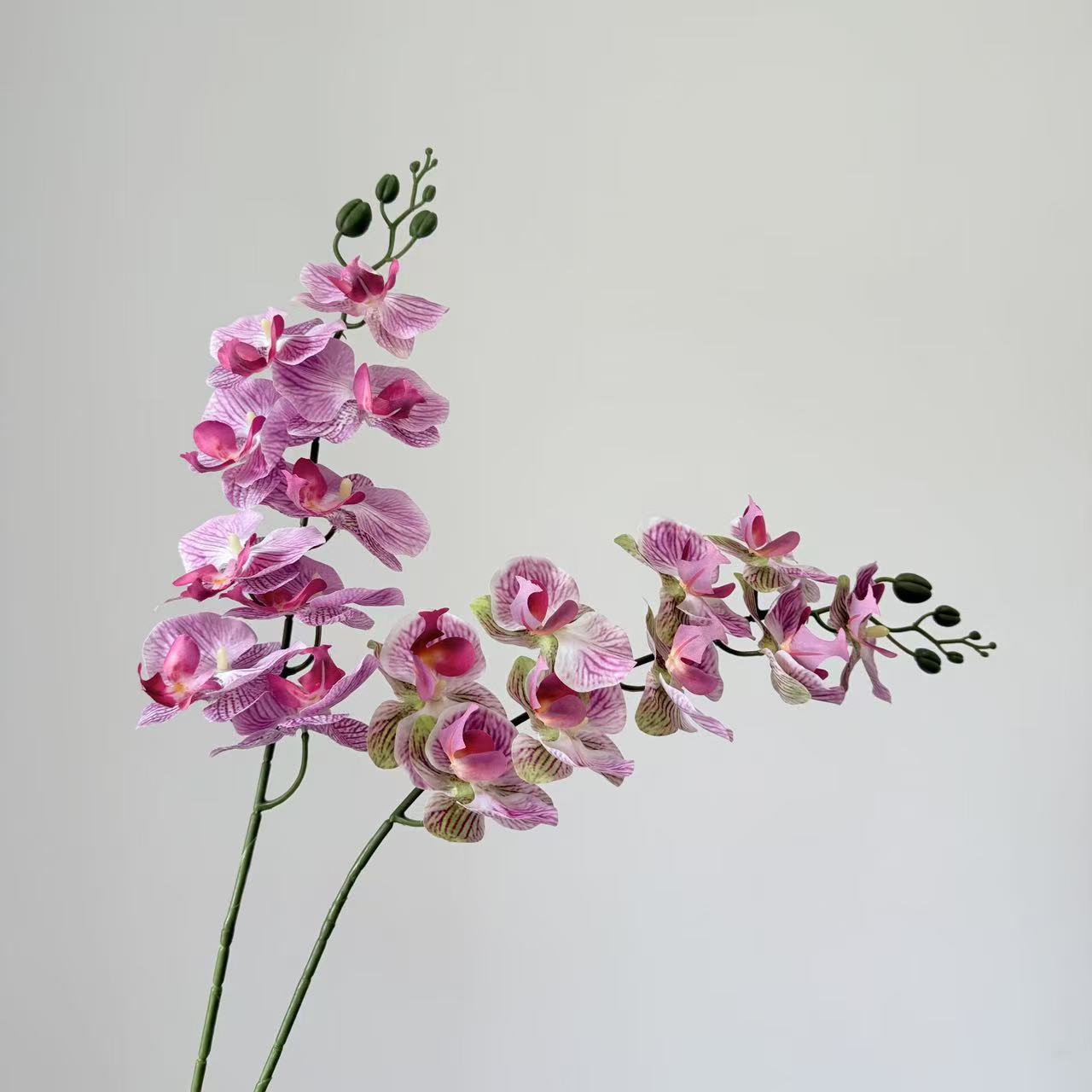 9头蝴蝶兰仿真花手感高级感逼真假花兰花艺场景布置酒店婚庆用花详情7