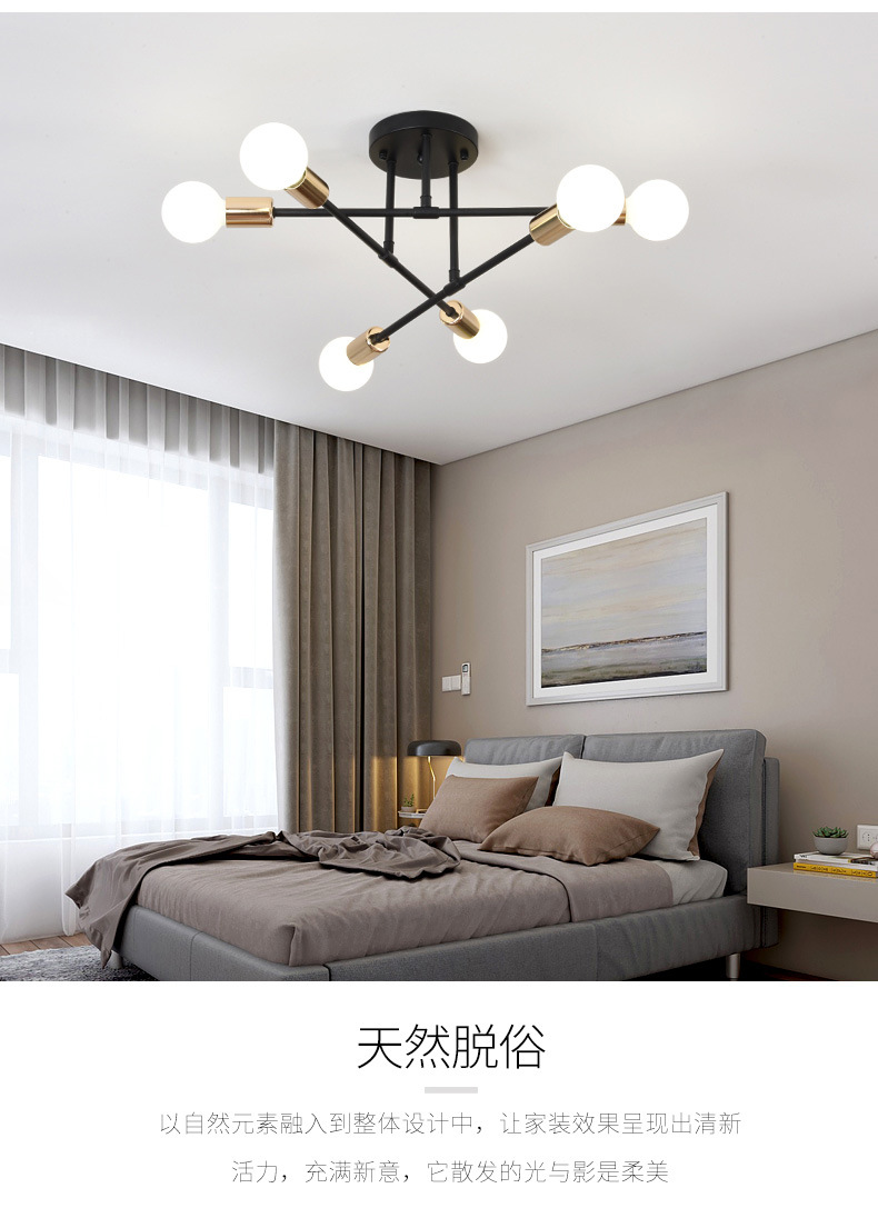 Cross-border Nordic living room lighting, dining room lighting, bedroom home decoration lighting, LED ceiling lighting, American black chandelier pic 6