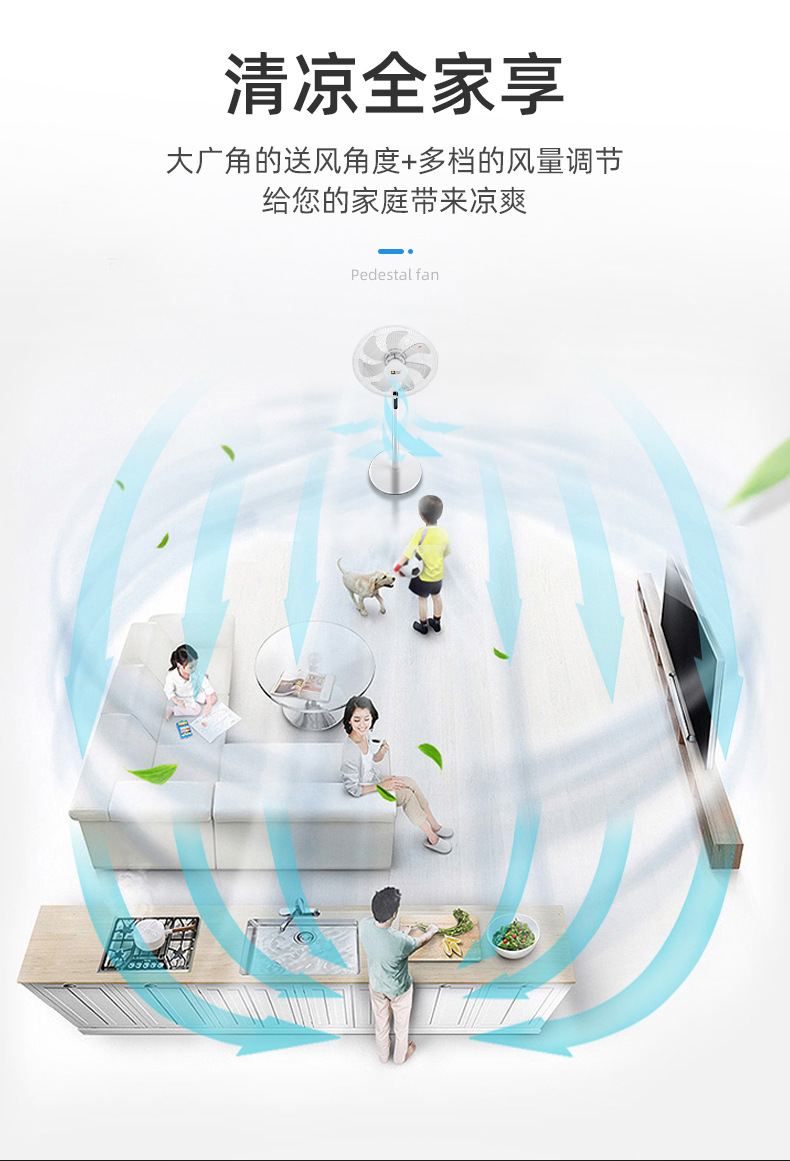 骆驼电风扇落地扇家用台扇轻音大风量台式摇头定时立式遥控省电扇详情6