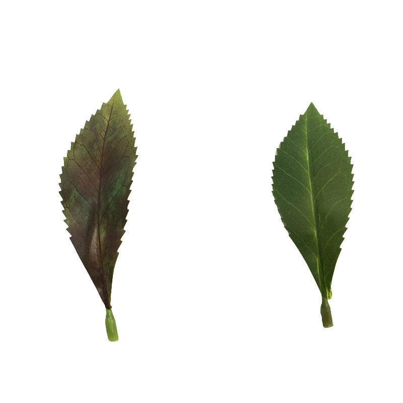 仿真植物马醉木绿植吊钟树叶工程园林造景家居装饰厂家批发马醉木详情11