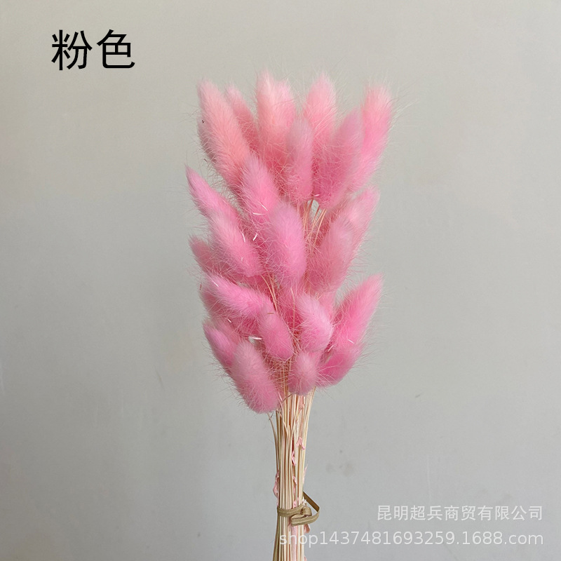 QQ图片20211210123522.jpg