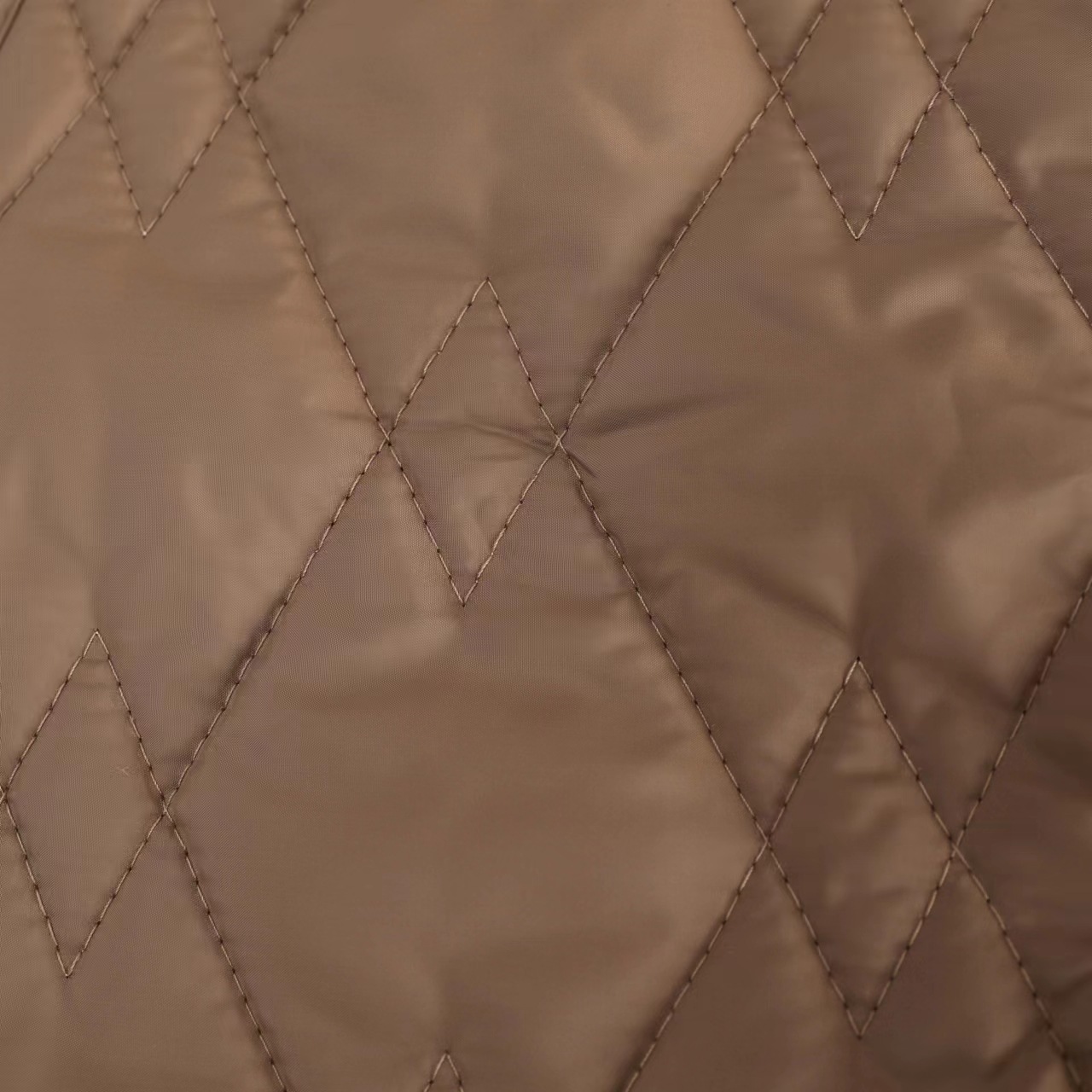 Invierno nuevo estilo mujer más de terciopelo desgaste exterior chaleco calor diseño espesado cómodo interior de felpa sin mangas clip de caballo anti-running material de algodón otra clasificación aplicable pic 10