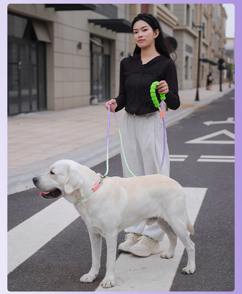 Outdoor dog leash, large dog P-chain pet leash, medium and large dog explosion-proof impact multi-functional dog walking leash pic 12