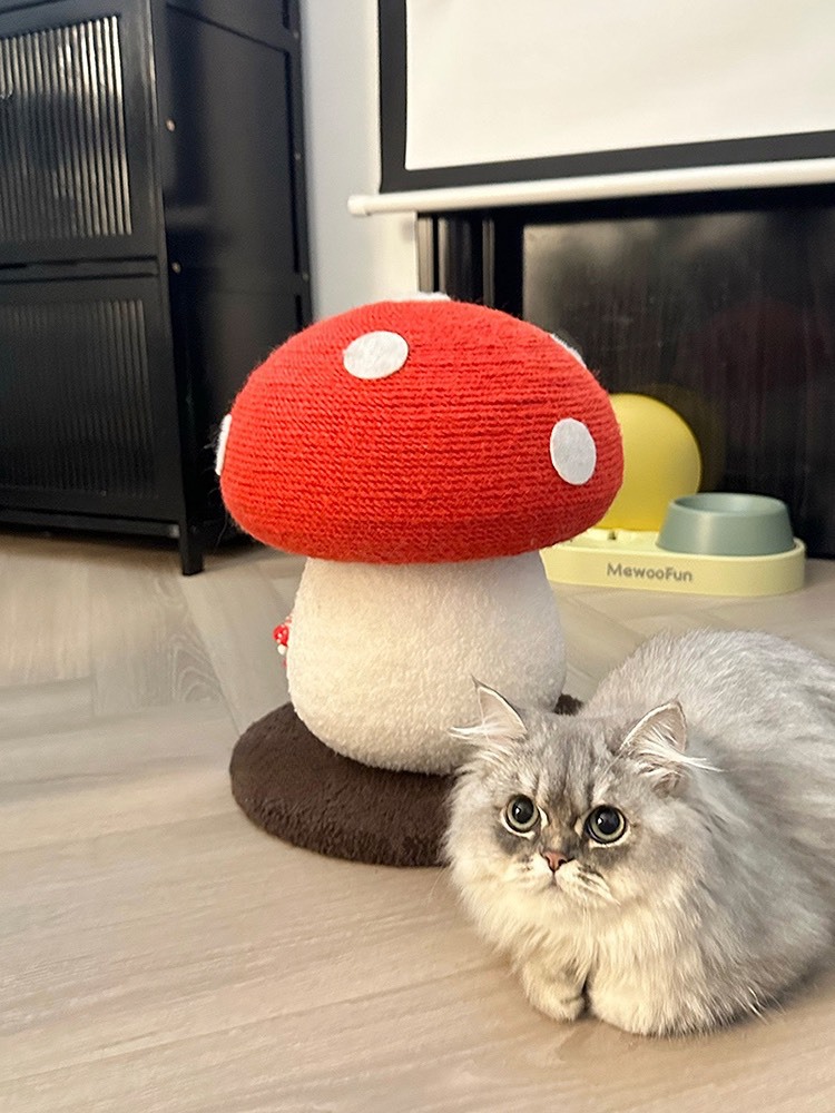 Red Mushroom cat climbing frame grab post, one piece of sisal claw cat climbing post, standing cat grab board, cat tree cat toy pic 4