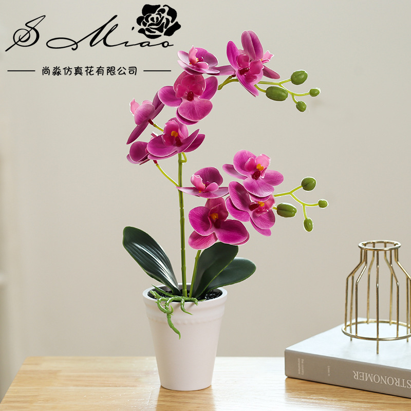 假花3D打印膠片手感蝴蝶蘭盆景仿真花廠家直供人造植物仿真盆栽详情5