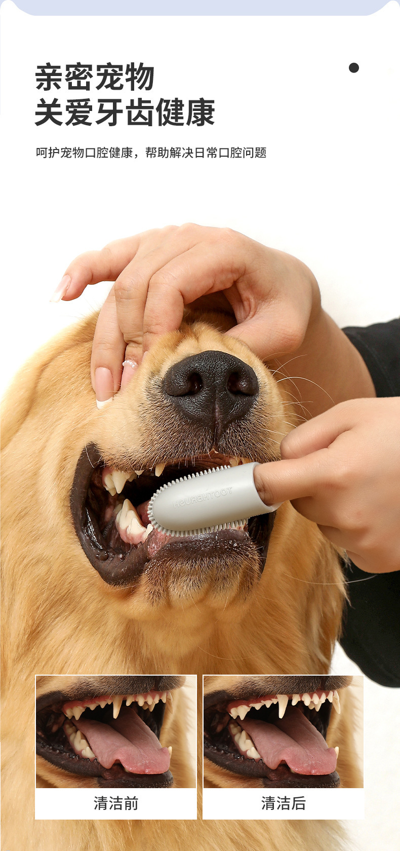 Cross-border pet toothbrush, finger toothbrush with handle, soft rubber teeth cleaning brush, dog and cat oral cleaning tools pic 3
