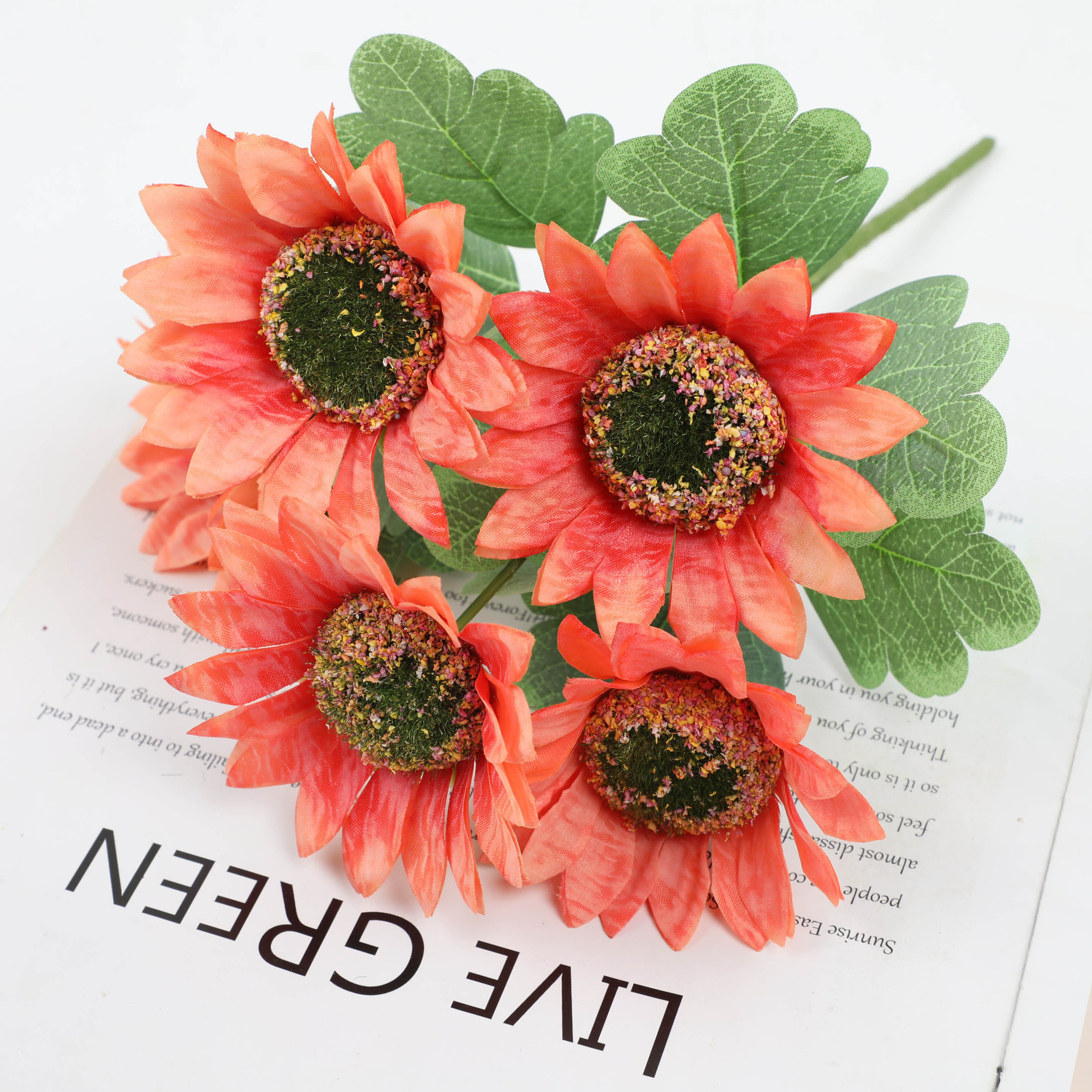 HG8403-5-22 夕阳红