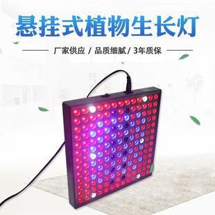 Angel Ring Plant Growth Lamp Telescopic pole full-spectrum USB timed dimming succulent bonsai plant supplementary light pic 2