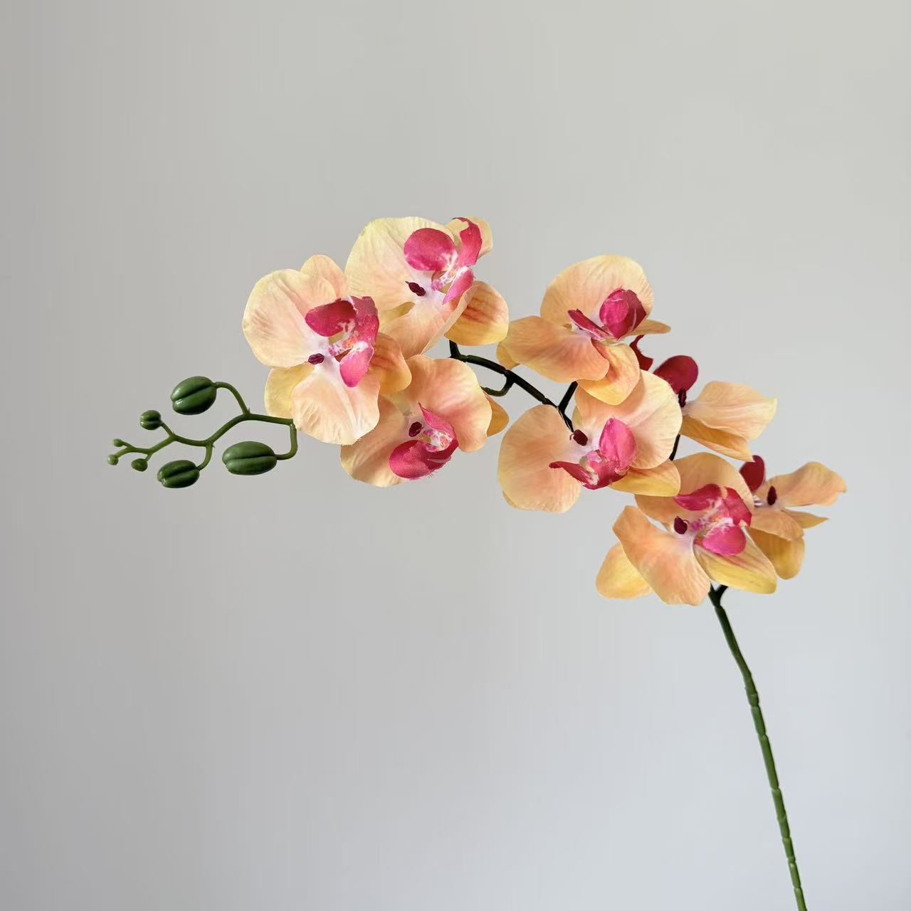 9头蝴蝶兰仿真花手感高级感逼真假花兰花艺场景布置酒店婚庆用花详情39