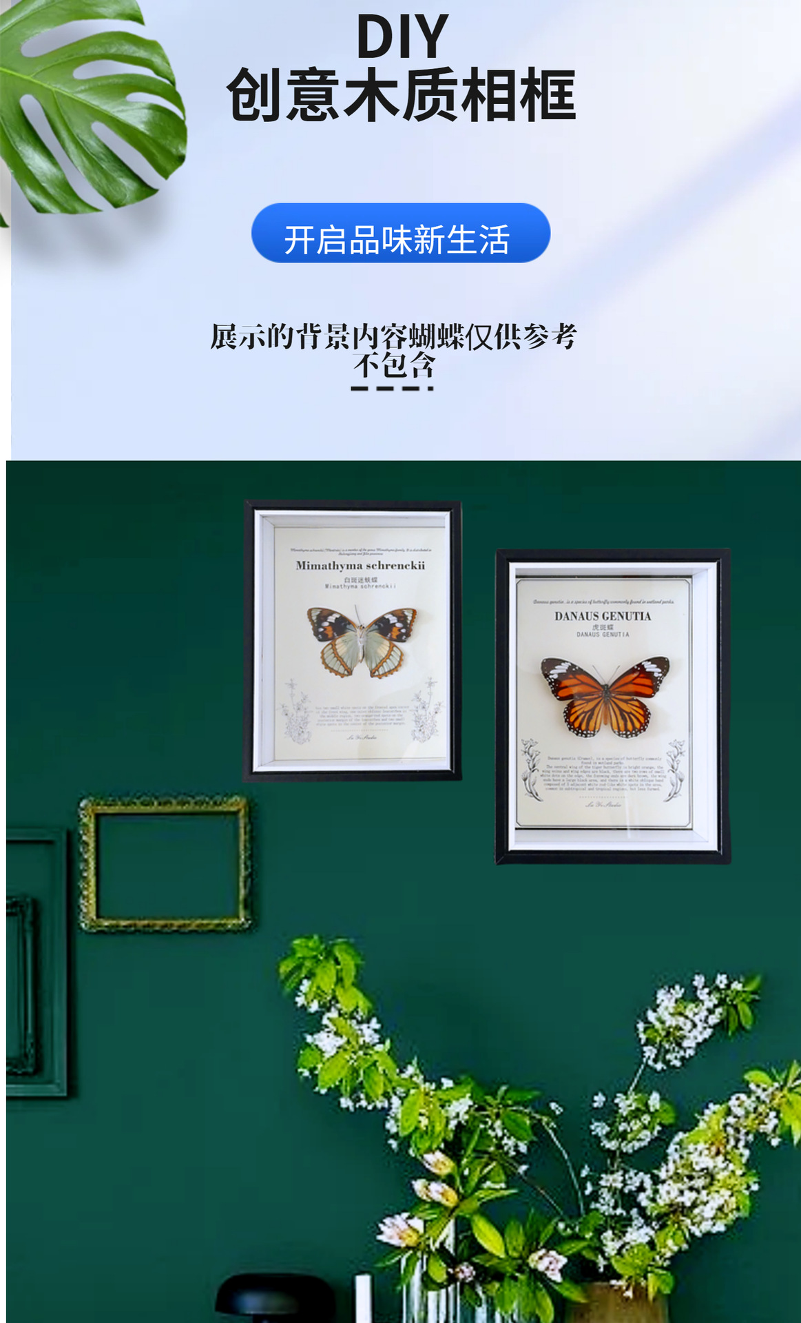 相框中空标本框木质玻璃立体黑色蝴蝶昆虫装裱自装摆台展示画框详情36