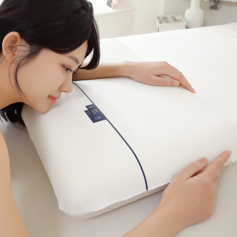 Planet Pillow pro Dual-core zero-pressure slow-rebound Memory Pillow core Hotel sleep Aid pillow pair neck support pillow pic 7