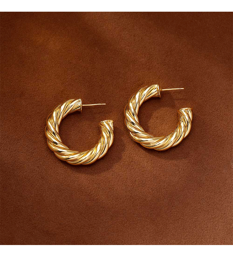 Hyacinth moda europea y americana personalidad temperamento moda orejeras minimalistas pendientes de aro de metal industria pesada alto grado sentido orejeras de oro pic 9
