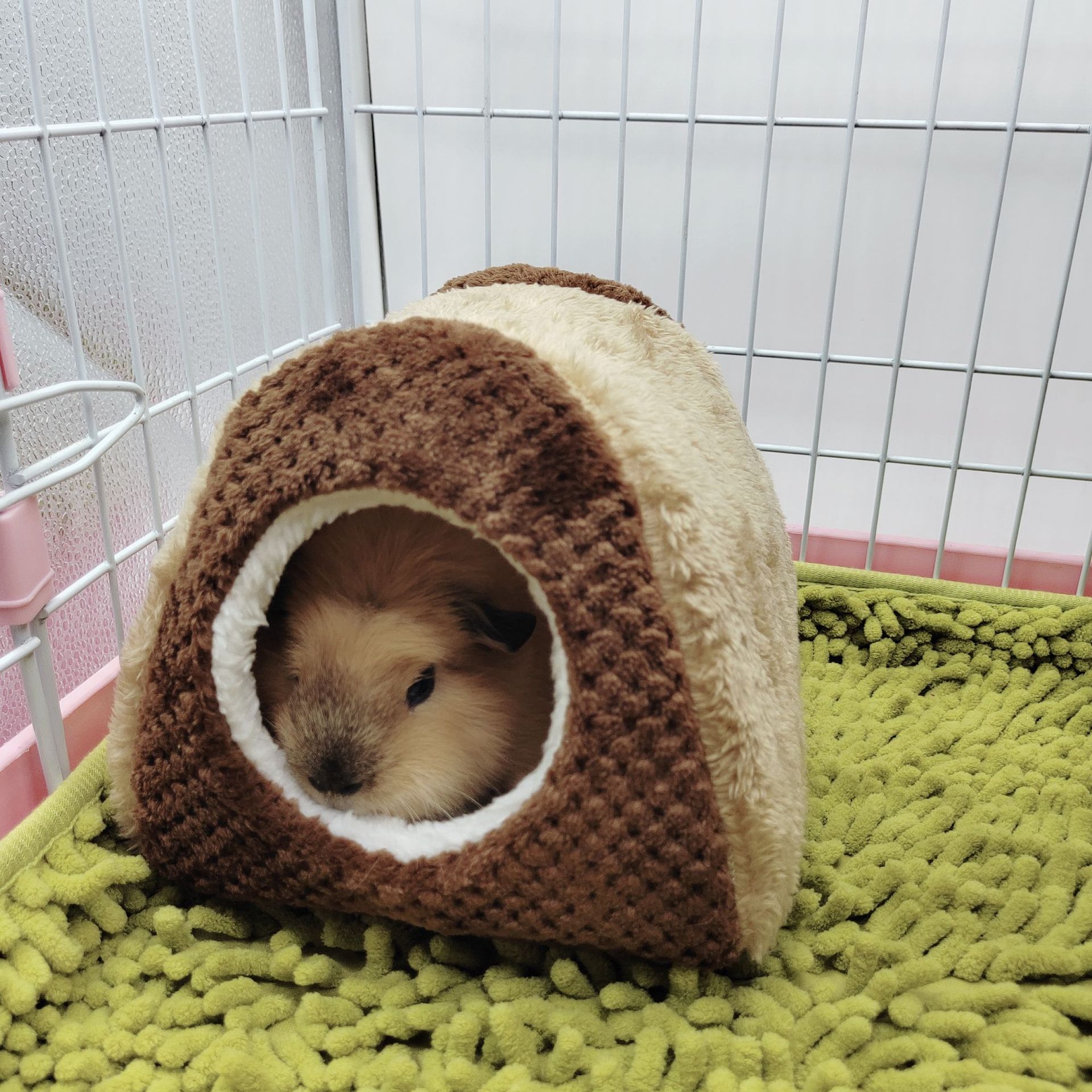 Hamster nest, rabbit, Dutch pig, guinea pig nest, sugar glider, squirrel, warm cotton nest, hammock, guinea pig nest, pet supplies pic 18