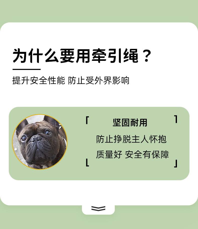 Factory direct sales of buffer spring traction ropes, explosion-proof, anti-biting and non-constricting large dog walking ropes pic 4