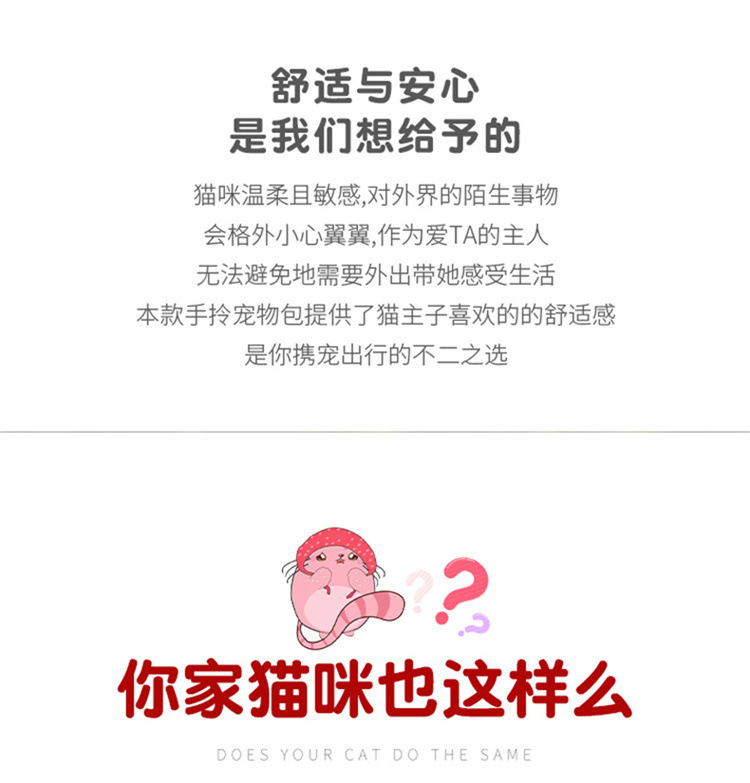 宠物包透气便携手提猫包大空间户外宠物背包猫笼猫背包宠物用品详情1