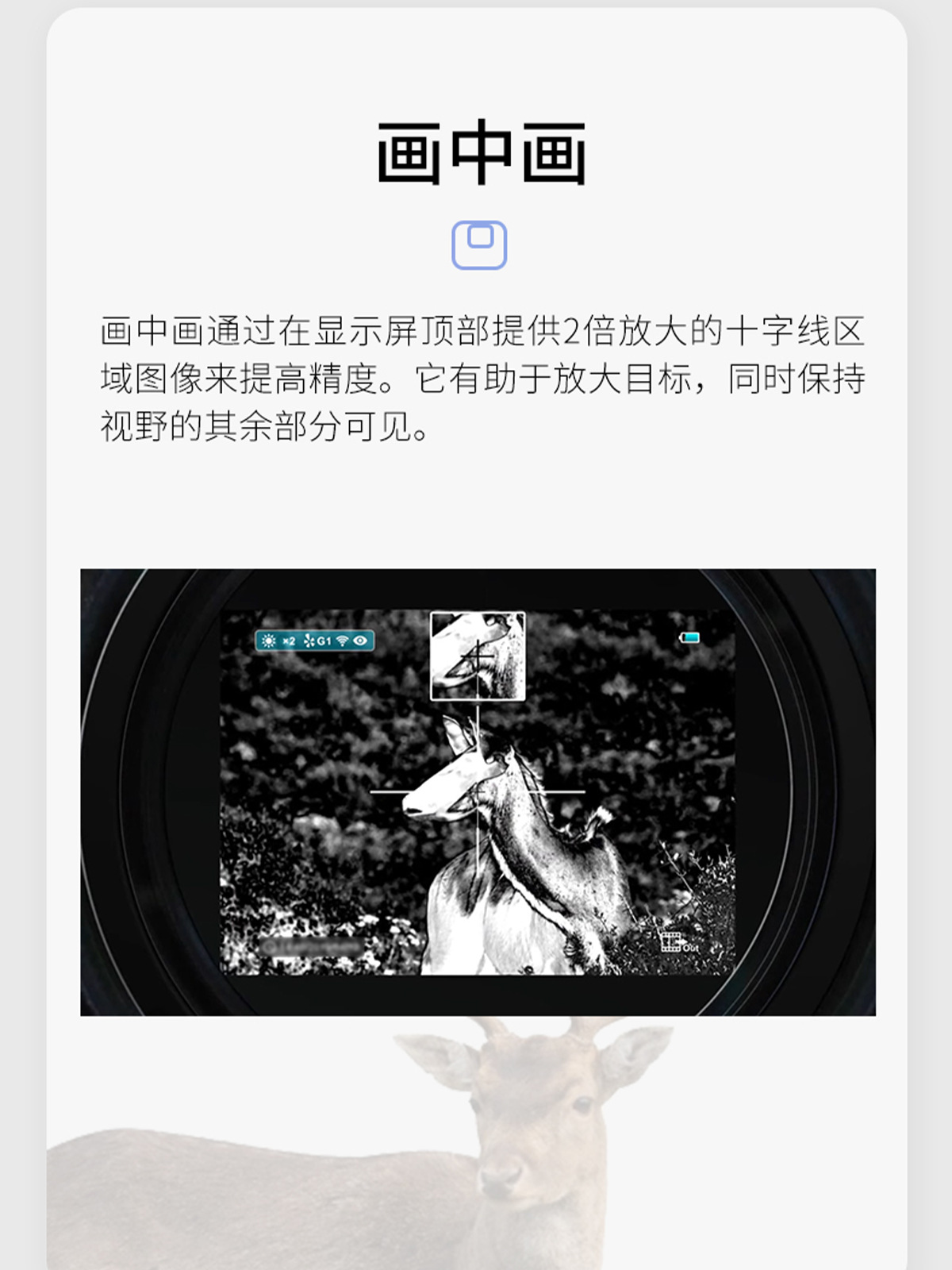 longotP2 thermal Imaging 256-resolution high-definition infrared night vision outdoor thermal imaging telescope pic 9