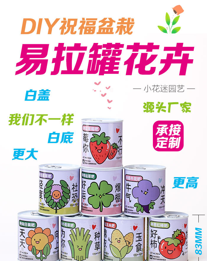 儿童礼物易拉罐植物盲盒桌面小盆栽小学生花卉绿植好养活种子盆栽详情1