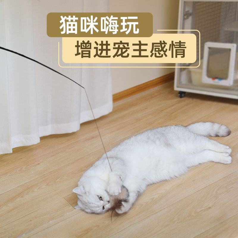 厂家直销伸缩逗猫棒四节伸缩加长款猫玩具宠物用品现货批发详情14