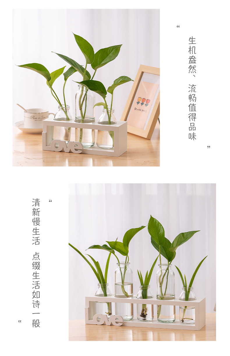 简约北欧试管玻璃花瓶水养插花植物容器办公室桌面水培绿萝摆件详情7