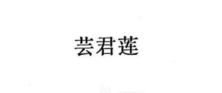 2024新款韩版大码时尚中长款风衣新款休闲显瘦洋气外套女士风衣潮详情6