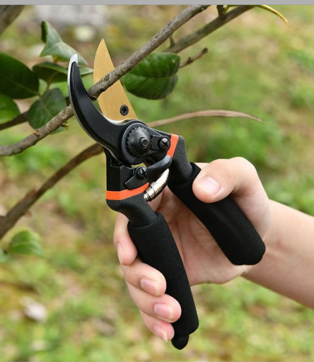 Pruning shears, garden shears, thick branch shears, garden pruning shears, fruit tree pruning, garden pruning shears, flower arrangement pruning shears pic 9