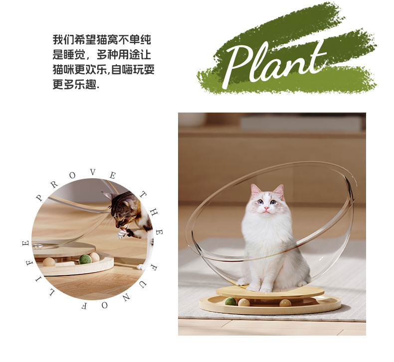 Space capsule acrylic cat bed, solid wood turntable toy, mint cat play and sleep integrated pet supplies, one-piece consignment pic 4