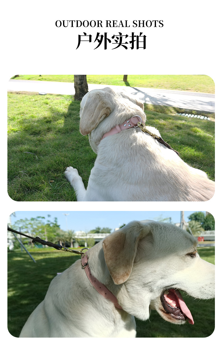 Cross-border pet collars, adjustable PU leather dog and cat necks, anti-strangling solid color collars, cat and dog supplies in stock pic 5