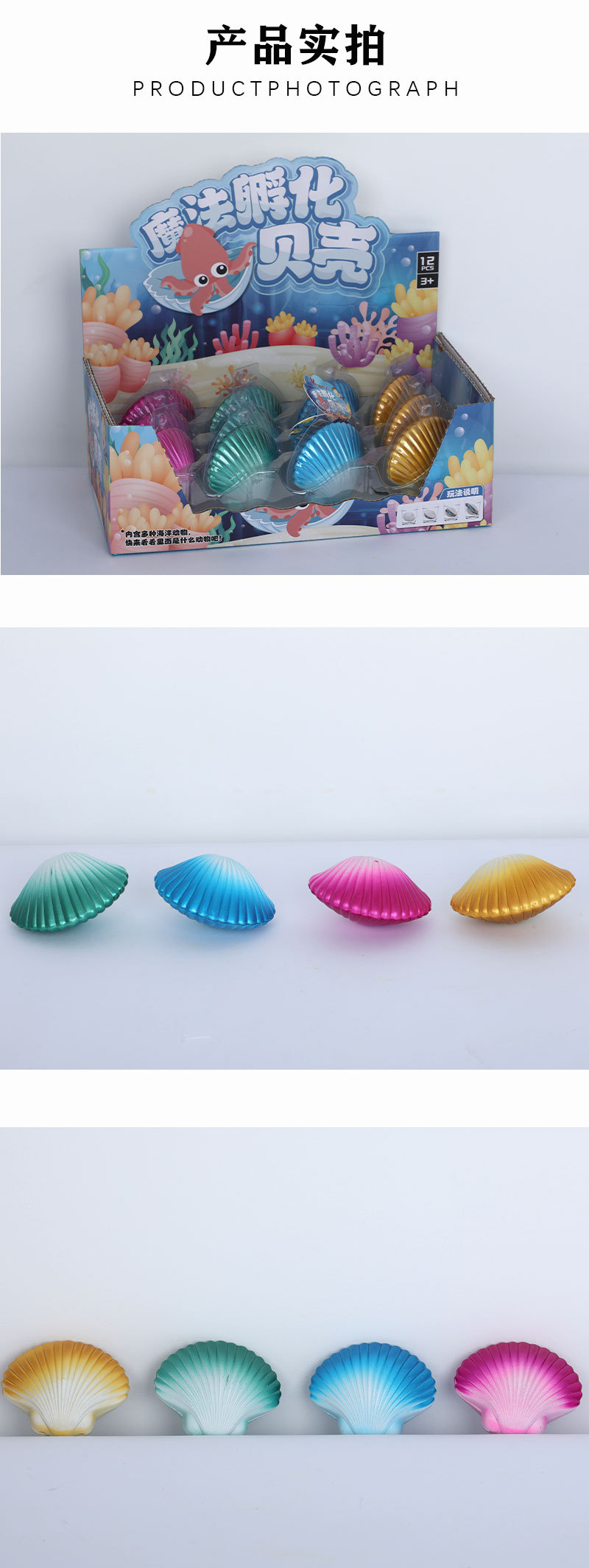 儿童趣味仿真魔法孵化贝壳 泡水孵化海洋贝壳玩具盲盒生日礼物详情4