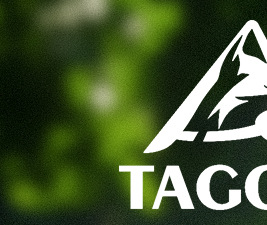 新款跨境宠物牵引绳 可斜挎可调节遛狗绳云朵泡泡棉不勒手P绳批发详情3