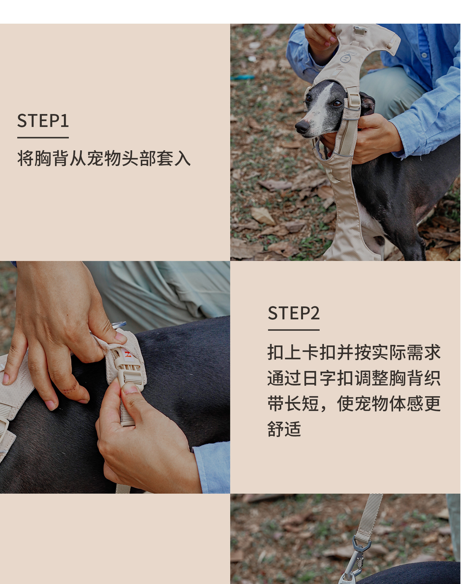 ZOOLAND狗狗胸背牵引绳遛幼小中大型犬泰迪柯基比熊边牧博美链子详情19