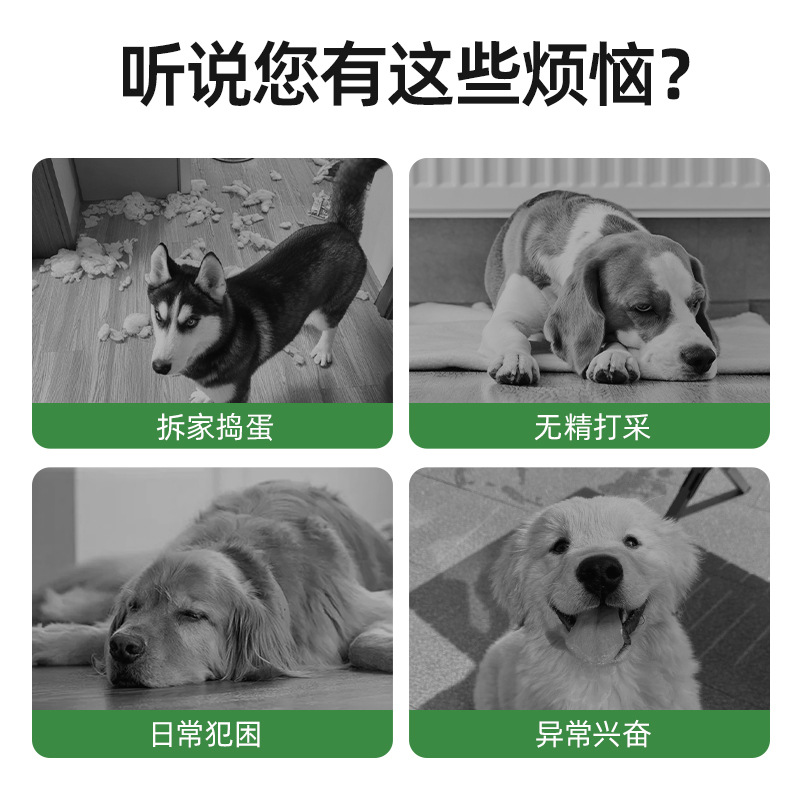 Dog toy balls, teething and biting resistant, dog football, outdoor special touring training balls, wholesale pet toys pic 6