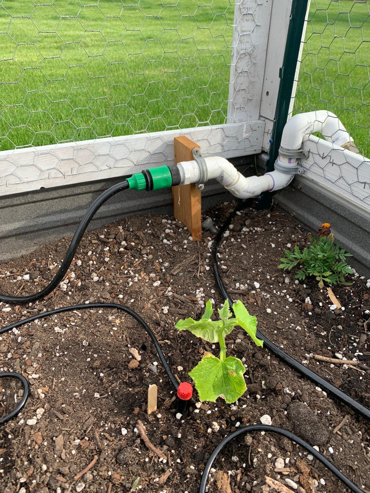 喷头浇水地插灌溉喷头小红帽滴头可调节流量滴头园艺微喷滴灌喷头详情18