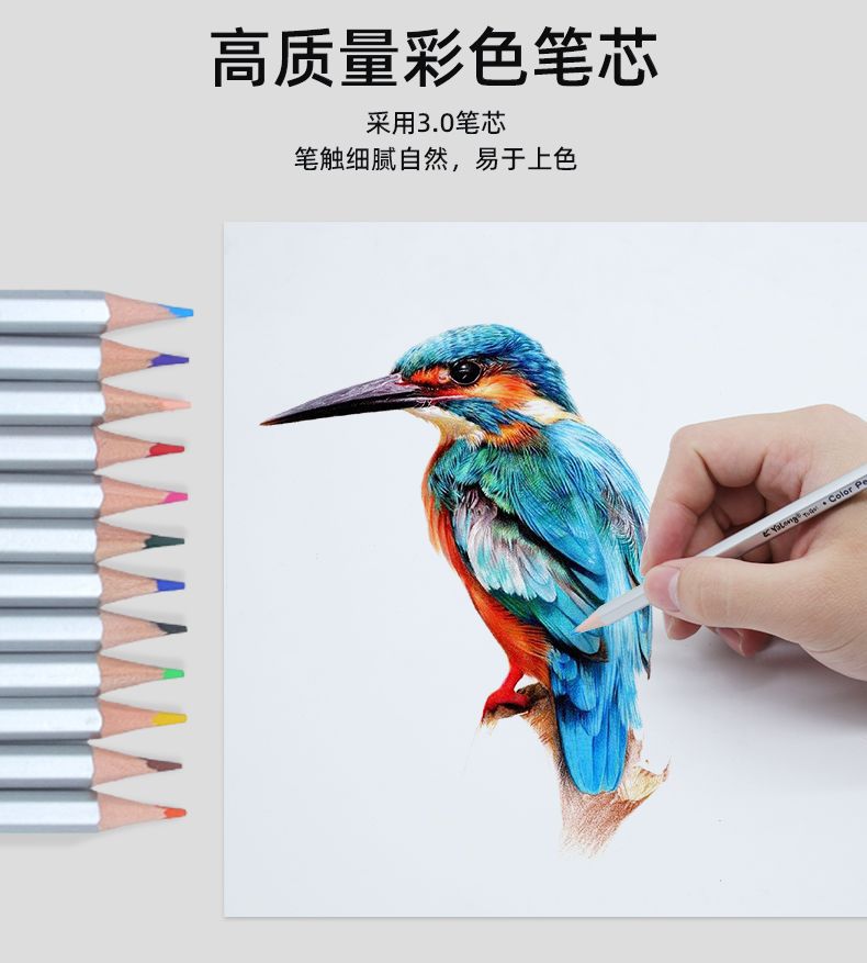 铅笔批发12色18色24色银色杆铅笔六边形3.0笔芯铅笔HB绘画彩铅详情6
