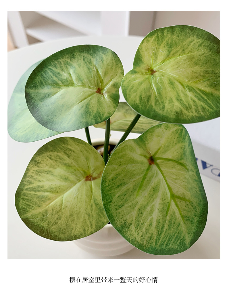 仿真绿植假花摆件龟背叶小盆栽办公桌面室客厅茶几植物摆设装饰品详情11
