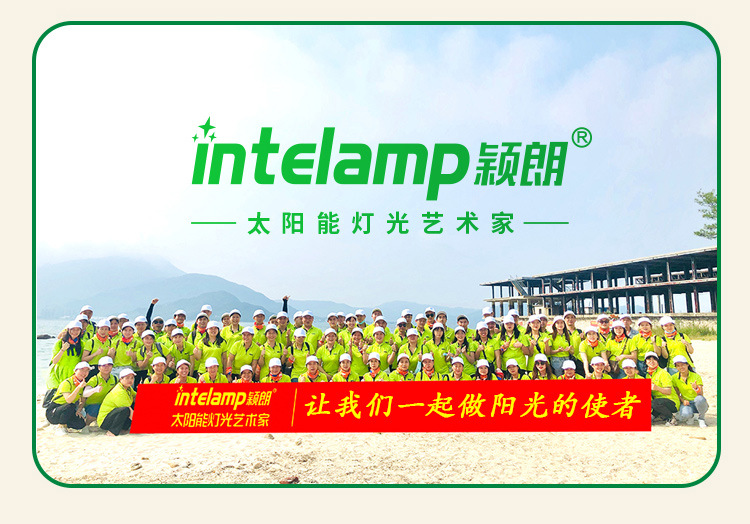 太阳能灯led庭院户外露营地防水新农村照明户外庭院投光灯详情40
