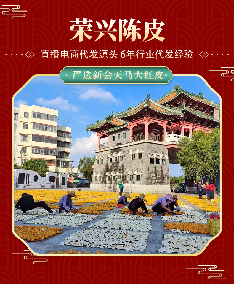 新会小青柑普洱茶天马陈皮普洱茶柑普茶陈皮小青柑散装厂家批发详情1