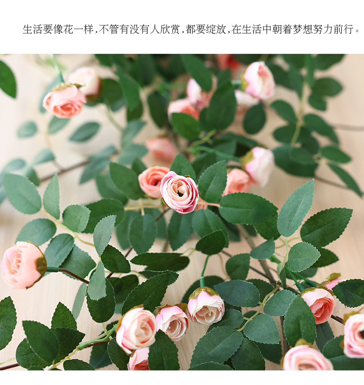 未标题-1_07.jpg