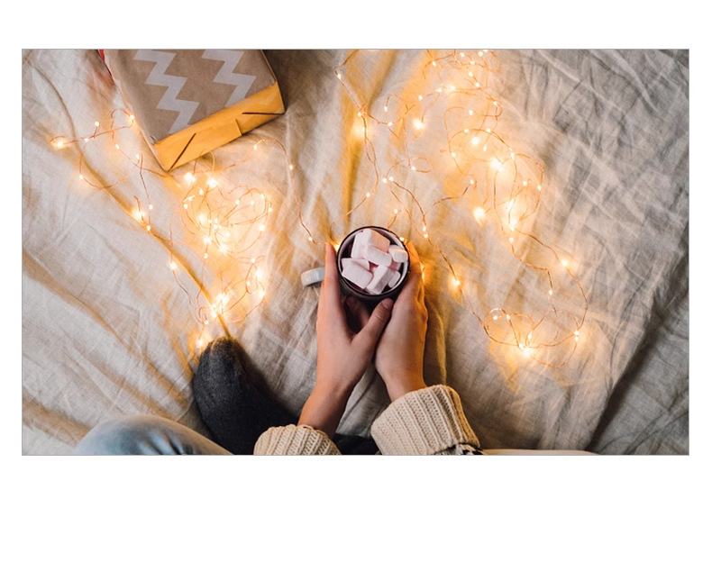 告白布局灯LED铜丝线小灯串礼盒花束装饰灯圣诞树小摆件点源1米详情8