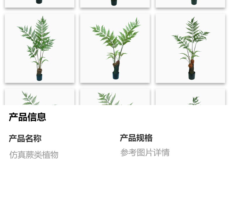 Helecho del mono simulado helecho del perro de pelo dorado en maceta helecho de una hoja hierba turva persa árbol falso estilo chino interior zen paisaje pic 1