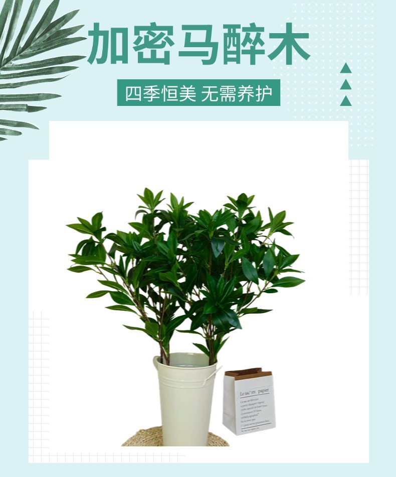 2025新款马醉木仿真绿植北欧风客厅办公桌面花艺盆栽宠物园艺水培生态瓶详情19
