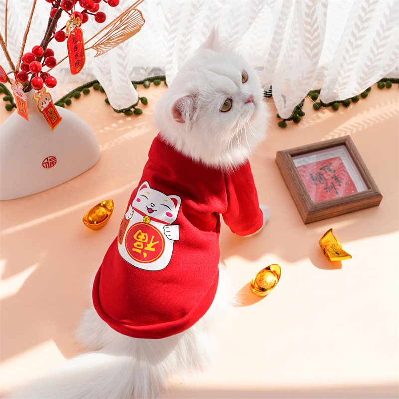 Año nuevo ropa de mascotas otoño invierno más peluche dos pies hoodies para perros ropa de gato teddy suministros fabricantes al por mayor pic 14