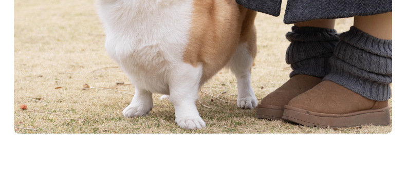 Dog leash, colorful nylon reflective round rope, large dog explosion-proof p rope, dog leash, medium and large dog leash pic 16