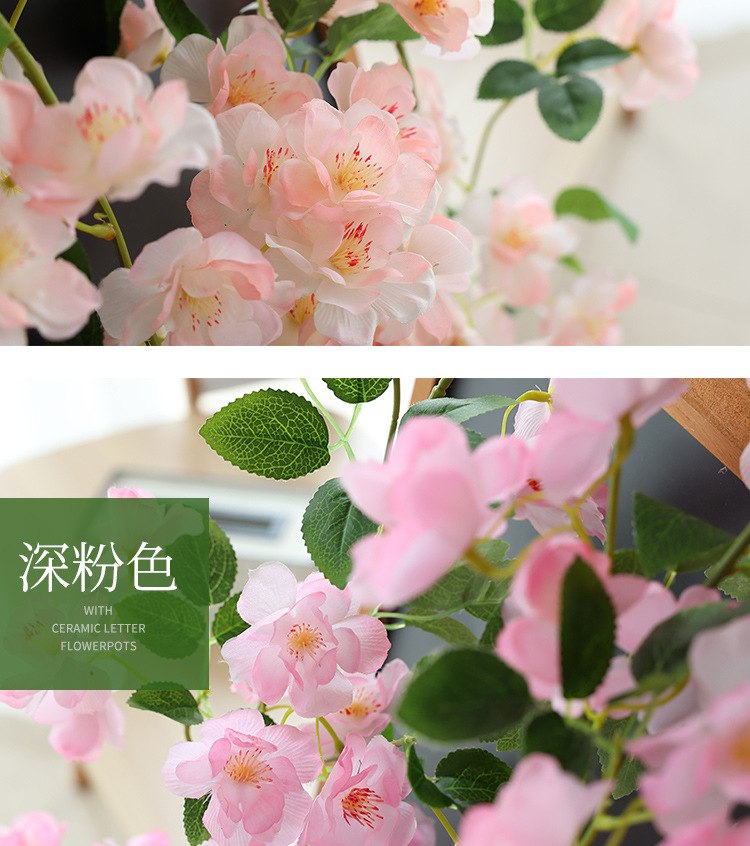 樱花_06.jpg