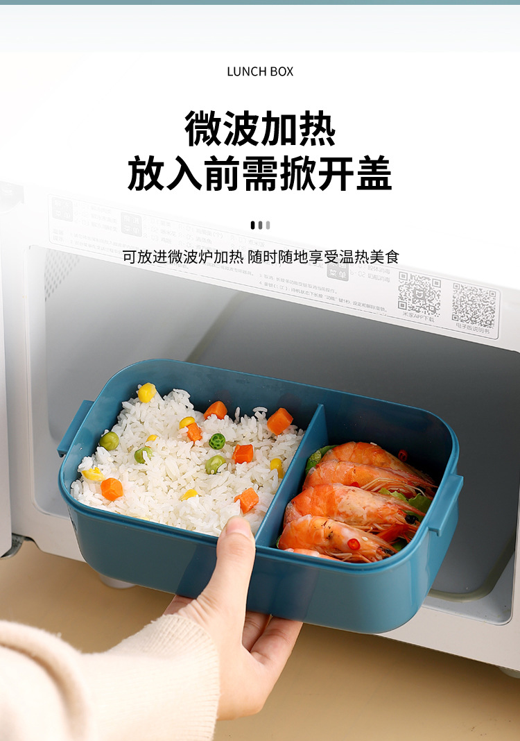 ins Cross-border lunch box set: bento box, light food, salad box, sauce box, student and office worker picnic box, separated pic 11