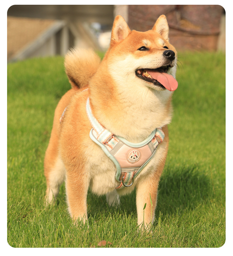 云感舒适颜值出街910胸背带柴犬款寸衫束紧夹休闲百搭女潮流夏季新款详情17