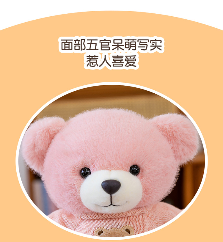 毛衣泰迪熊公仔毛衣百变小熊毛绒玩具情人节送女生布娃娃礼物熊送详情4